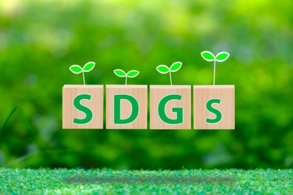 SDGsに関する企業の意識調査（2024年）｜TDB Business View